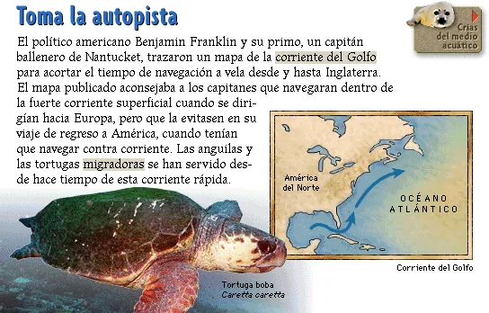 Toma la autopista