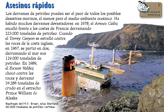 Asesinos rápidos