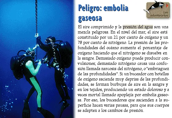Peligro: embolia gaseosa
