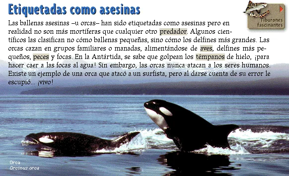 Etiquetadas como asesinas