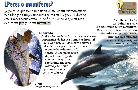 ¿Peces o mamíferos?