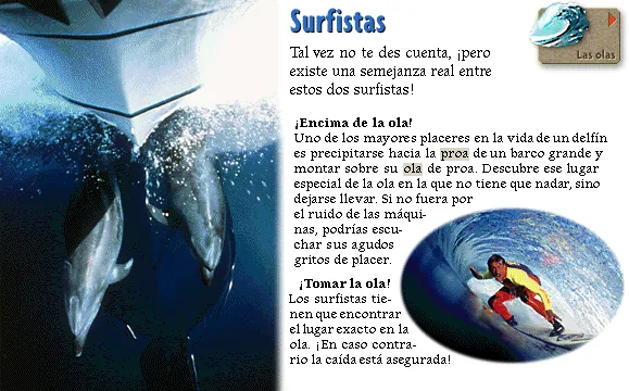 Surfistas
