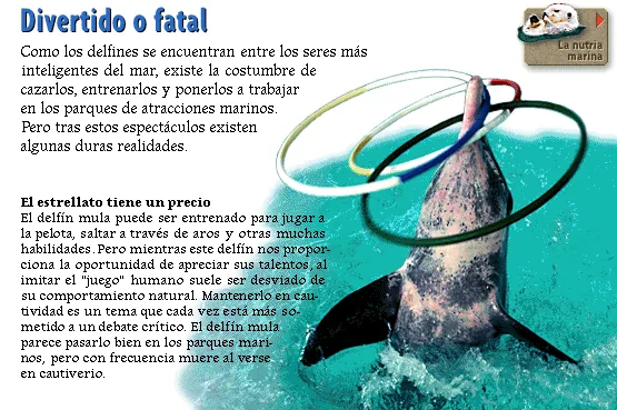 Divertido o fatal