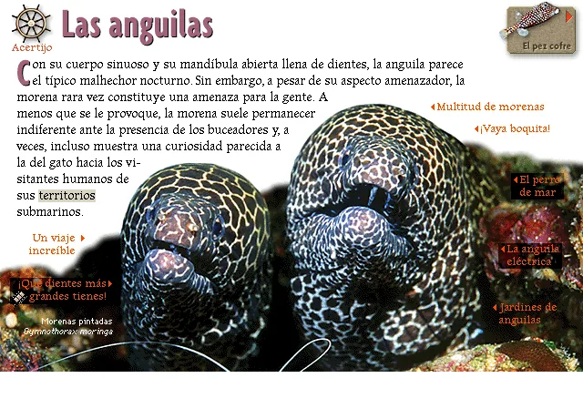 Las anguilas