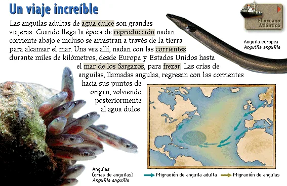 Un viaje increíble