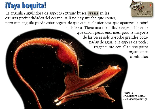 ¡Vaya boquita!