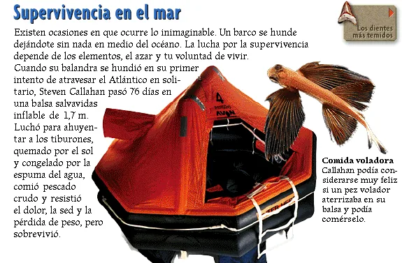 Supervivencia en el mar