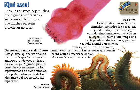 ¡Qué asco!