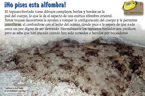 ¡No pises esta alfombra!