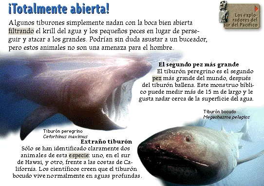 ¡Totalmente abierta!