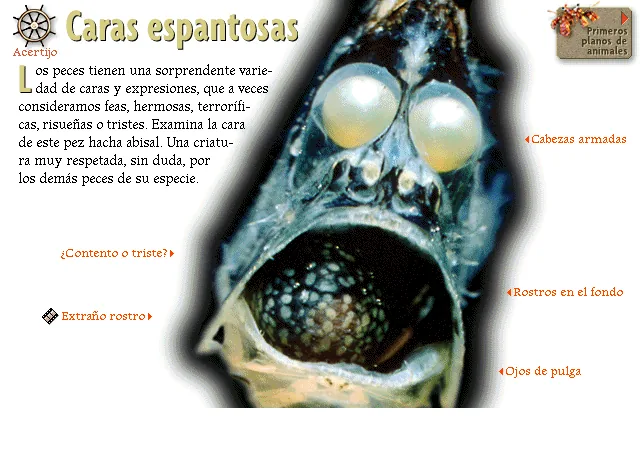 Caras espantosas
