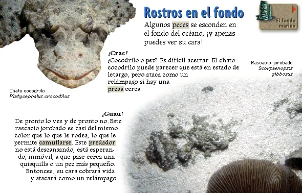 Rostros en el fondo