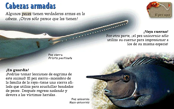 Cabezas armadas