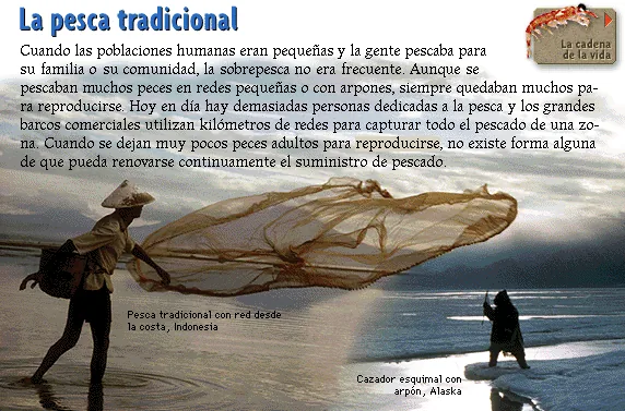La pesca tradicional