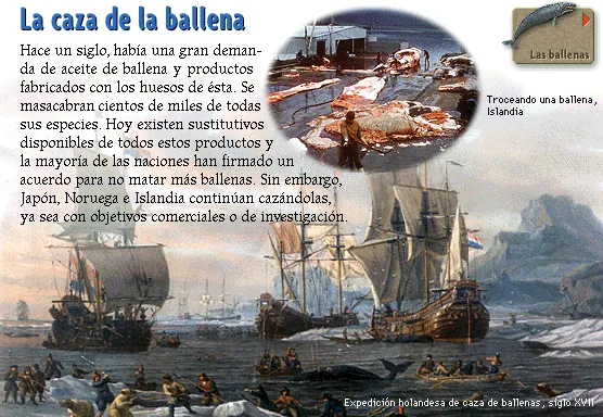 La caza de la ballena
