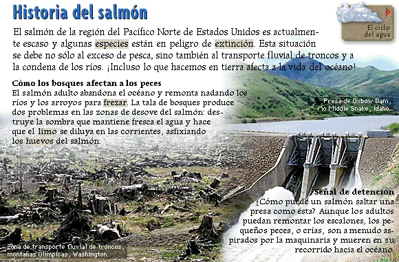 Historia del salmón