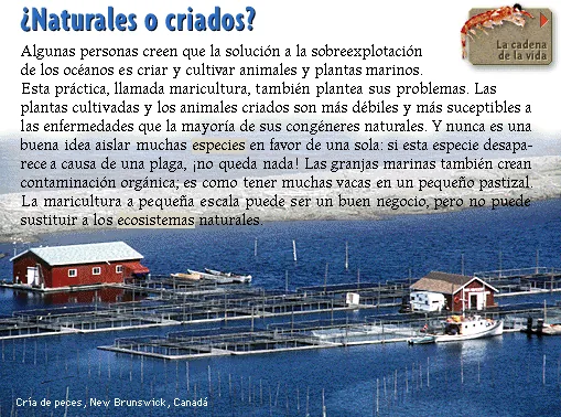 ¿Naturales o criados?