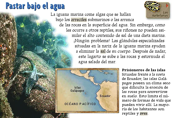Pastar bajo el agua