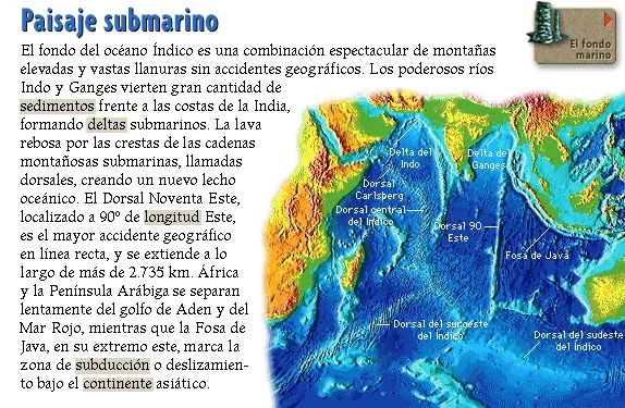 Paisaje submarino