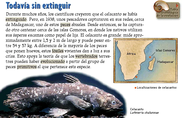 Todavía sin extinguir