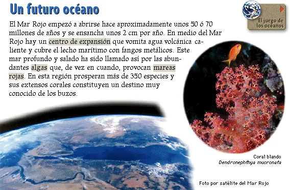 Un futuro océano