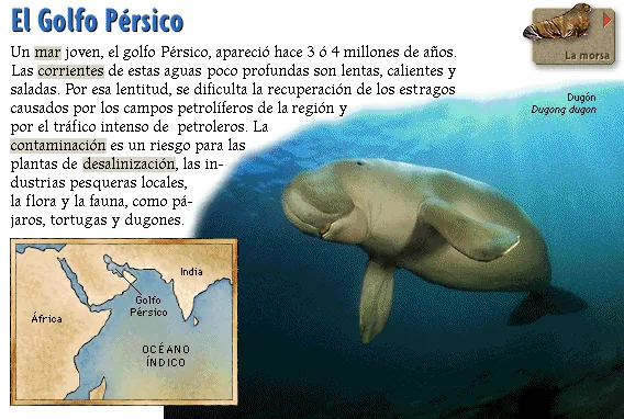 El Golfo Pérsico