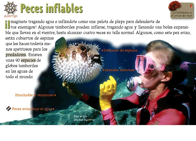 Peces inflables