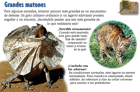 Grandes matones