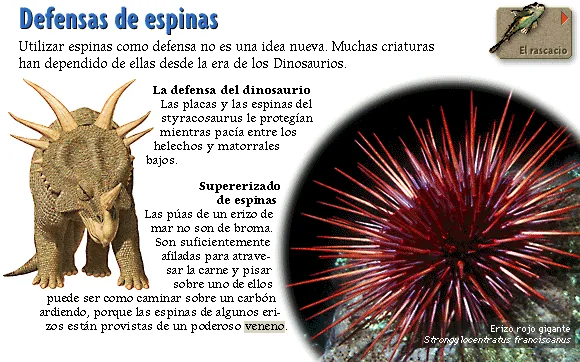 Defensas de espinas