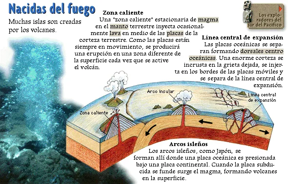 Nacidas del fuego