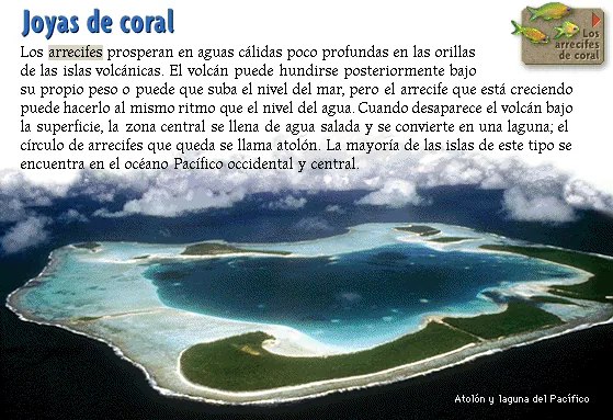 Joyas de coral