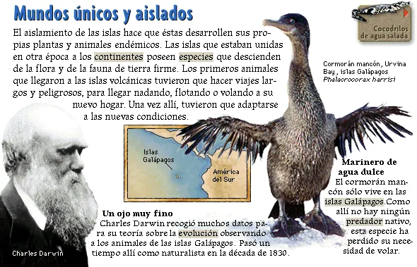 Mundos únicos y aislados