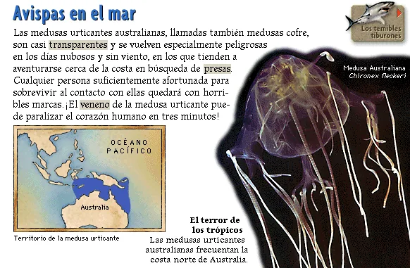 Avispas en el mar