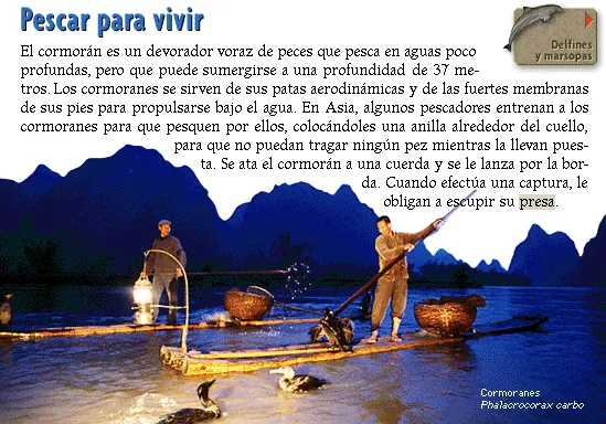 Pescar para vivir