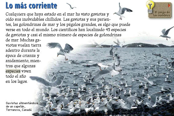 Lo más corriente