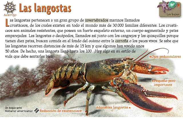 Las langostas