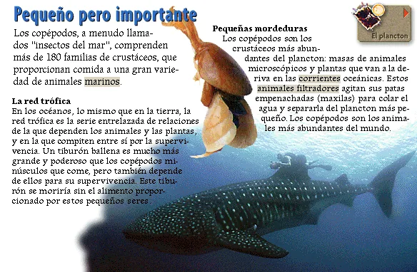 Pequeño pero importante