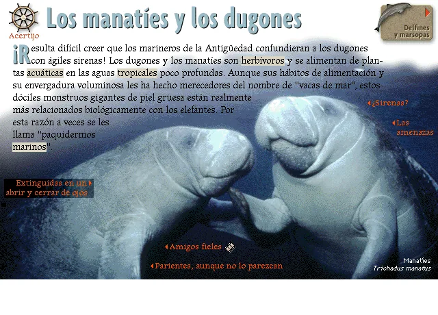 Los manatíes y los dugones