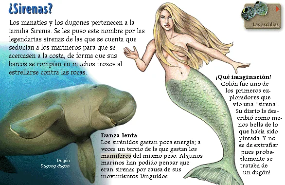 ¿Sirenas?