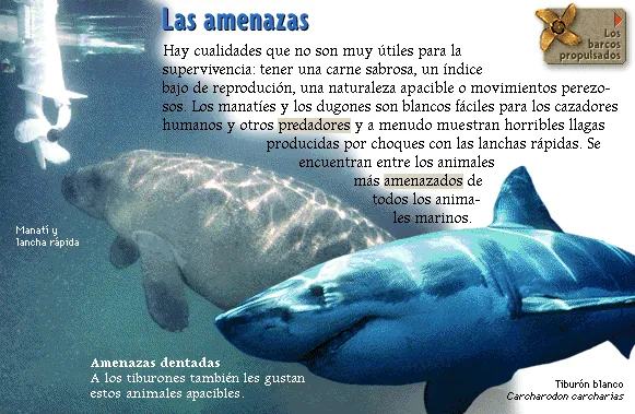 Las amenazas