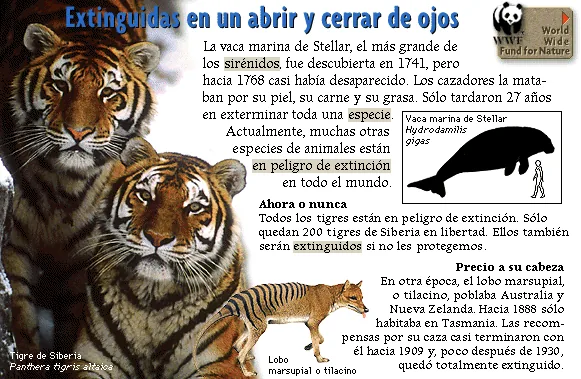 Extinguidas en un abrir y cerrar de ojos