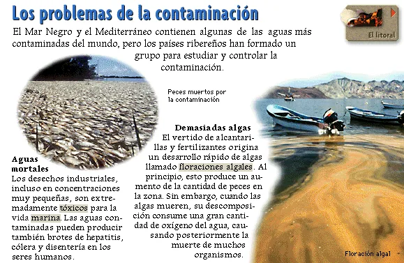 Los problemas de la contaminación