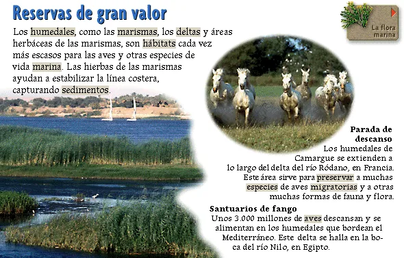 Reservas de gran valor