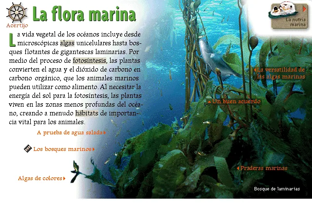 La flora marina