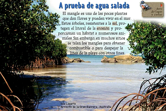 A prueba de agua salada