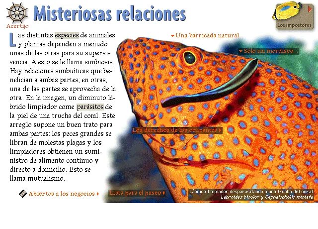 Misteriosas relaciones