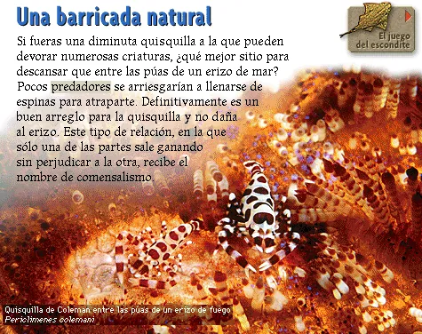 Una barricada natural