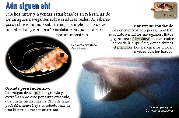 Aún siguen ahí