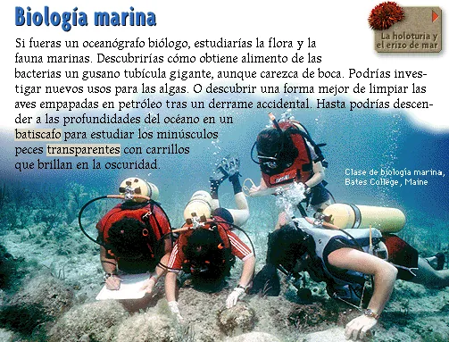Biología marina