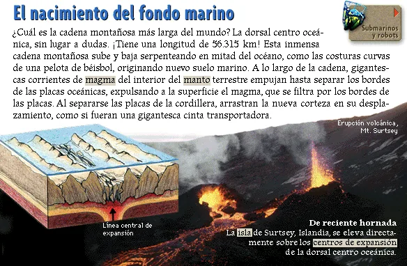 El nacimiento del fondo marino